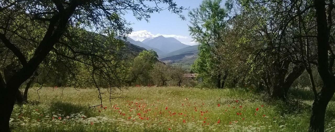 Al Casolare Ofena